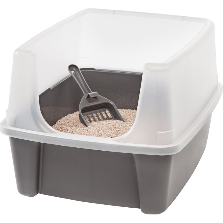 Open shop litter box